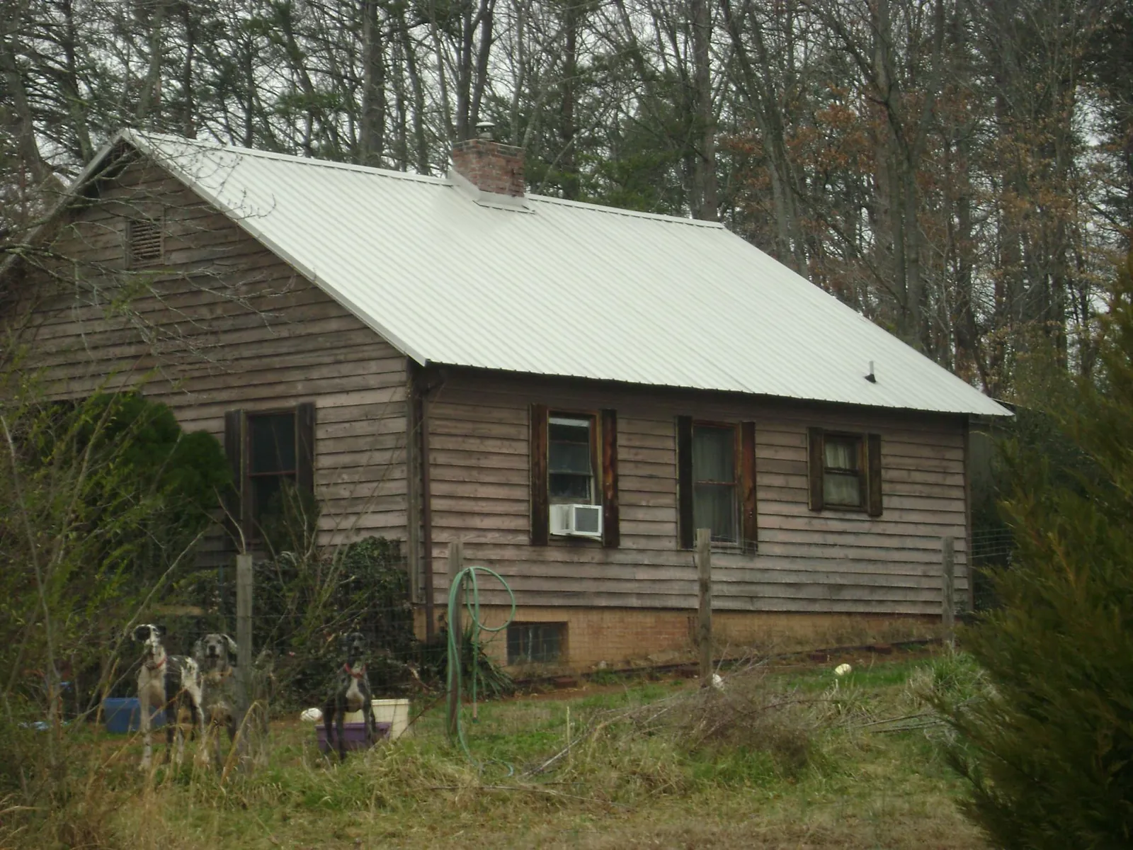 White metal roof on an old wood sided farmhouse, from a Asphalt Shingle Roof Repair job in Silver Star